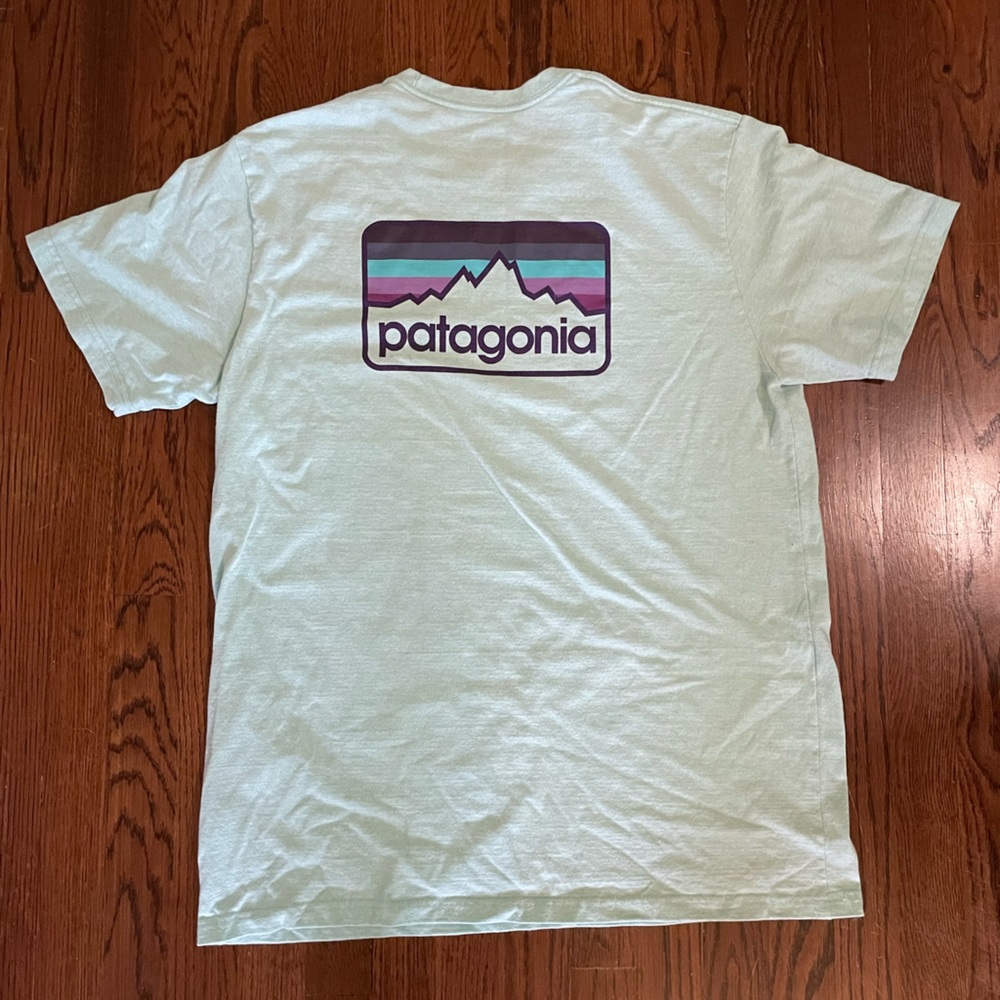 Mens Patagonia Respindibili-tee Tshirt